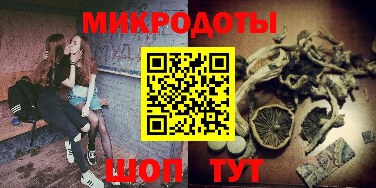 Псилоцибиновые грибы Psilocybine cubensis Бугуруслан