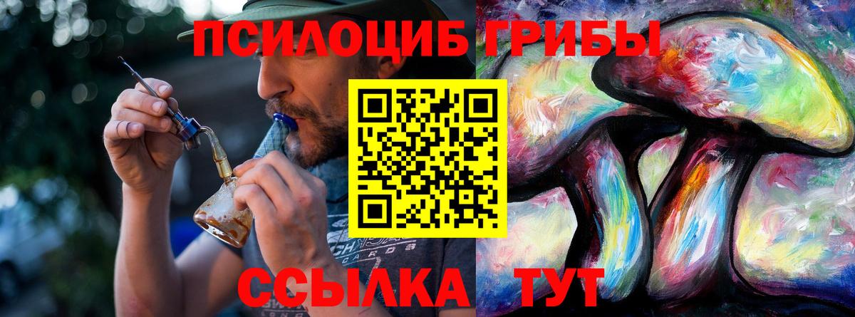 Галлюциногенные грибы Psilocybine cubensis  Вход с VPN  Бугуруслан 